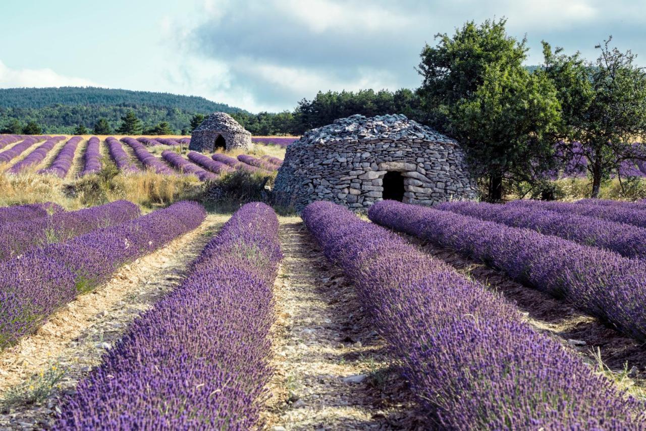 Gite La Bastide De La Loge Au Pied Du Mont Ventoux Sault-de-Vaucluse Bagian luar foto